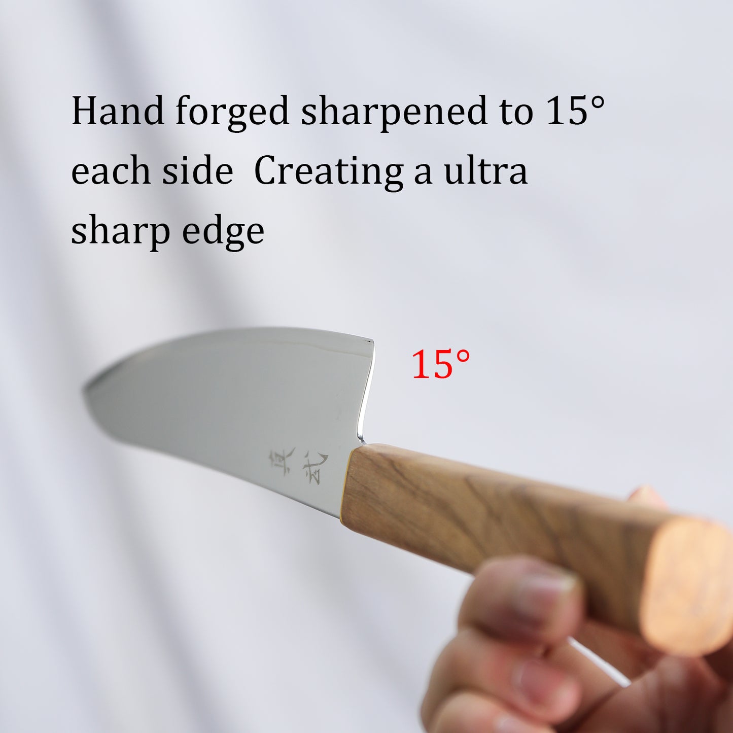 Japanese chef knife